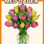 Gratulerer Med Dagen