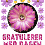 gratulerer med dagen