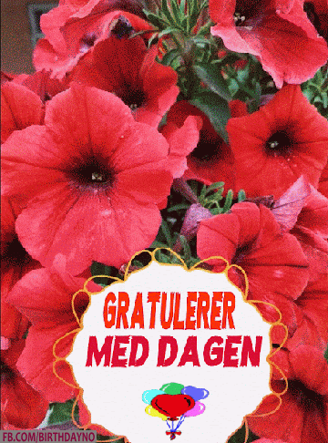 Gratulerer Med Dagen