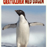 Gratulerer Med Dagen