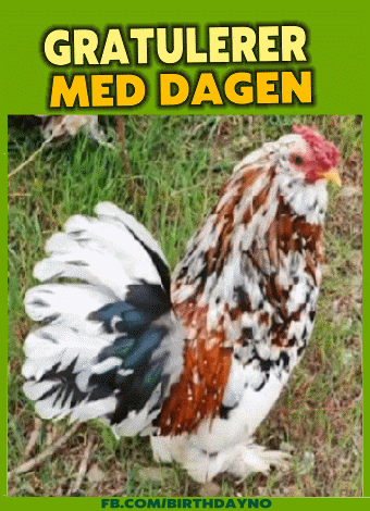 Gratulerer Med Dagen
