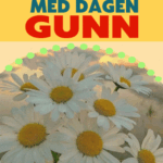 Gratulerer Med Dagen GUNN