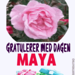 gratulerer med dagen maya