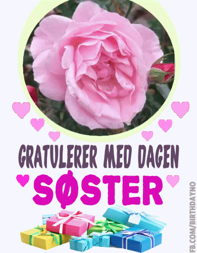 Gratulerer Med Dagen Søster Gif tekst
