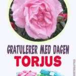 Gratulerer Med Dagen Torjus