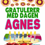 Gratulerer Med Dagen AGNES
