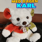 Gratulerer Med Dagen Karl