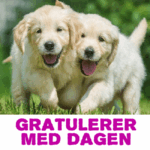 Gratulerer Med Dagen