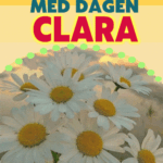 Gratulerer Med Dagen Clara gif