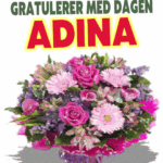 Gratulerer Med Dagen Adina