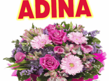 Gratulerer Med Dagen Adina