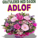 Gratulerer Med Dagen Adlof
