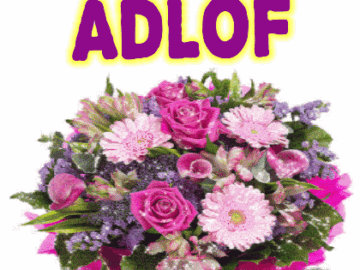 Gratulerer Med Dagen Adlof