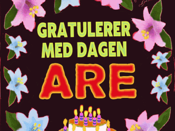 Gratulerer Med Dagen Are