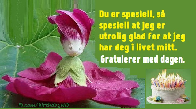 gratulerer med dagen tekst